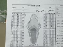 -北京观赏动物医院·24小时大型综合·猫专科·异宠专科