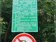 -南京十朝历史文化园-停车场
