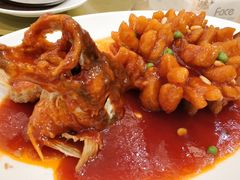 松鼠桂鱼-金时代顺风大酒店(协泰店)