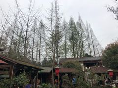 -青城甲(青城山店)