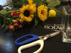 -植物学家的女儿(北马道巷店)