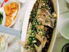 清蒸白鱼-宾湖农庄·农场特色(太湖龙之梦店)