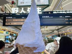-野人先生Gelato(上海长宁龙之梦店)