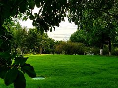 -九里河湿地公园