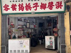 -洪馨椰子