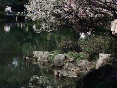 -杭州植物园