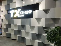 -天行健身＆天行拳馆跆拳道·格斗TXGYM