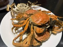 -蓝钻·国际美食海鲜自助百汇(西直门店)