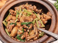 啫啫牛蛙煲-粤来记·啫啫煲·点心(日月光店)