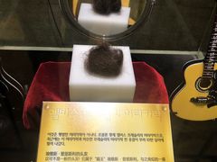 -信不信由你博物馆