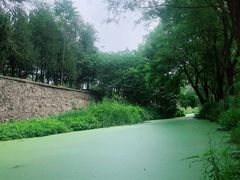 -永定河休闲森林公园