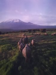 -翱翔飞越地平线