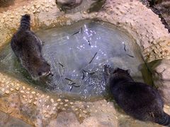 -正佳雨林生态植物园