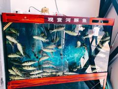 -肆月河豚·新淮扬(金融街店)