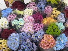 -循礼门鲜花花市(武汉循礼门店)