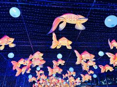 -海合安成都极地海洋公园