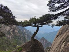 -黄山风景区