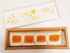 -阮大兴糕团(日月光中心店)
