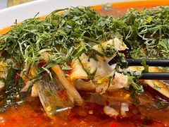 -老字号怡玺·藿香雅鱼(20年雅安店)