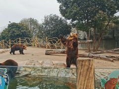 -常州淹城野生动物世界