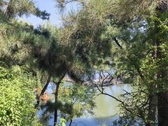 -承德避暑山庄景区