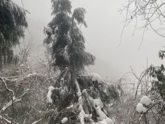 -九峰山