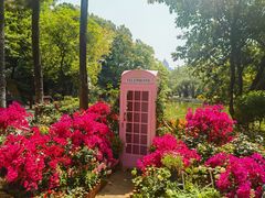 -人民公园(罗湖区)