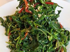 苦苦菜-十二毡房蒙餐·蒙古包