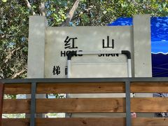 -红山村