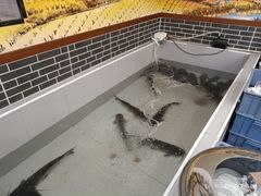 -东北铁锅宴(云龙华府店)