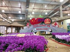 -东南花都花博园
