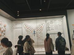-四川大学博物馆