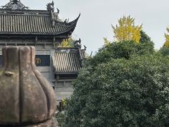 -凤栖山