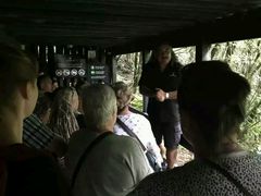 -怀托摩萤火虫洞