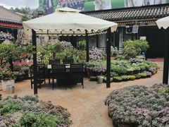 -山菌美食苑(振兴路店)