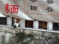 -小梁哥云吞面(黄贝岭店)