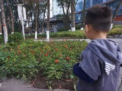 -西宁市人民公园(城西区)