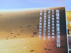 -西域胡氏大盘鸡(谈固店)