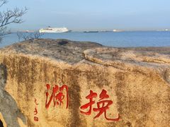 -上海滨江森林公园
