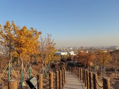 -白水寺森林公园