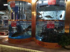 -蜀滋香鲜鱼美蛙火锅(339店)