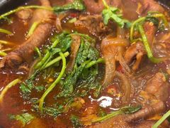 -川香煲(茅台路店)