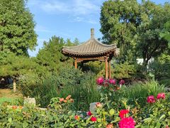 -三里河公园