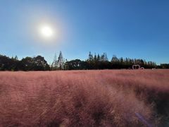 -嘉北郊野公园
