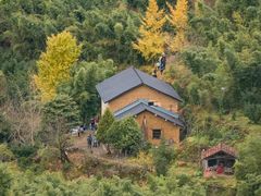 -四明山国家森林公园