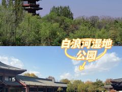 -富华游乐园