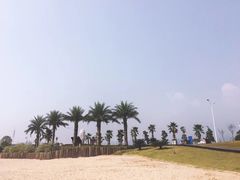 -柳湖沙月沙滩公园