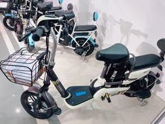 -雅迪电动车(北艾路店)