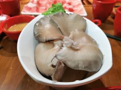 -舒来喜鱼锅(伊河路店)