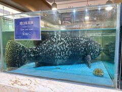 -旺顺阁海鲜广场(亚运村店)